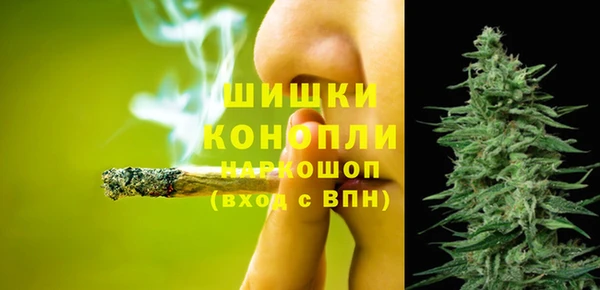 шишки Баксан