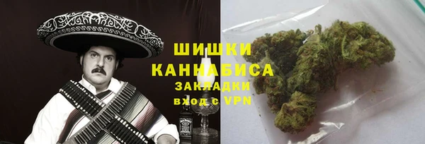 прущие крисы Белокуриха