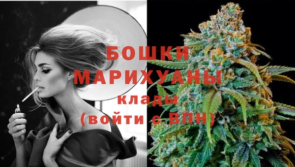 гашик Белоозёрский