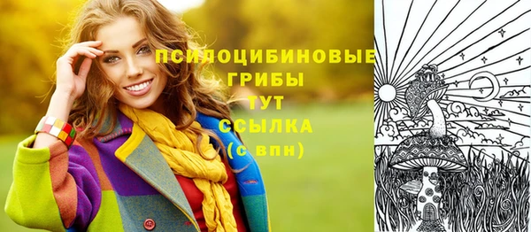 гашик Белоозёрский
