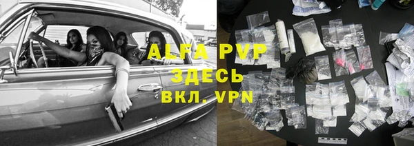 прущие крисы Белокуриха