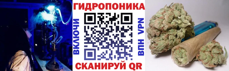 где купить наркоту  Высоковск  Конопля индика 